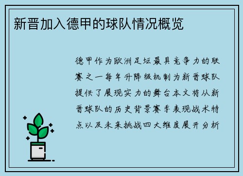 新晋加入德甲的球队情况概览
